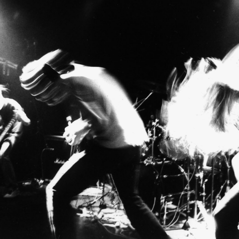 KNUT – WYRIWYS